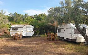 Aquariumi Jale Camping